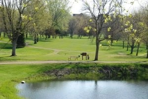Golfing